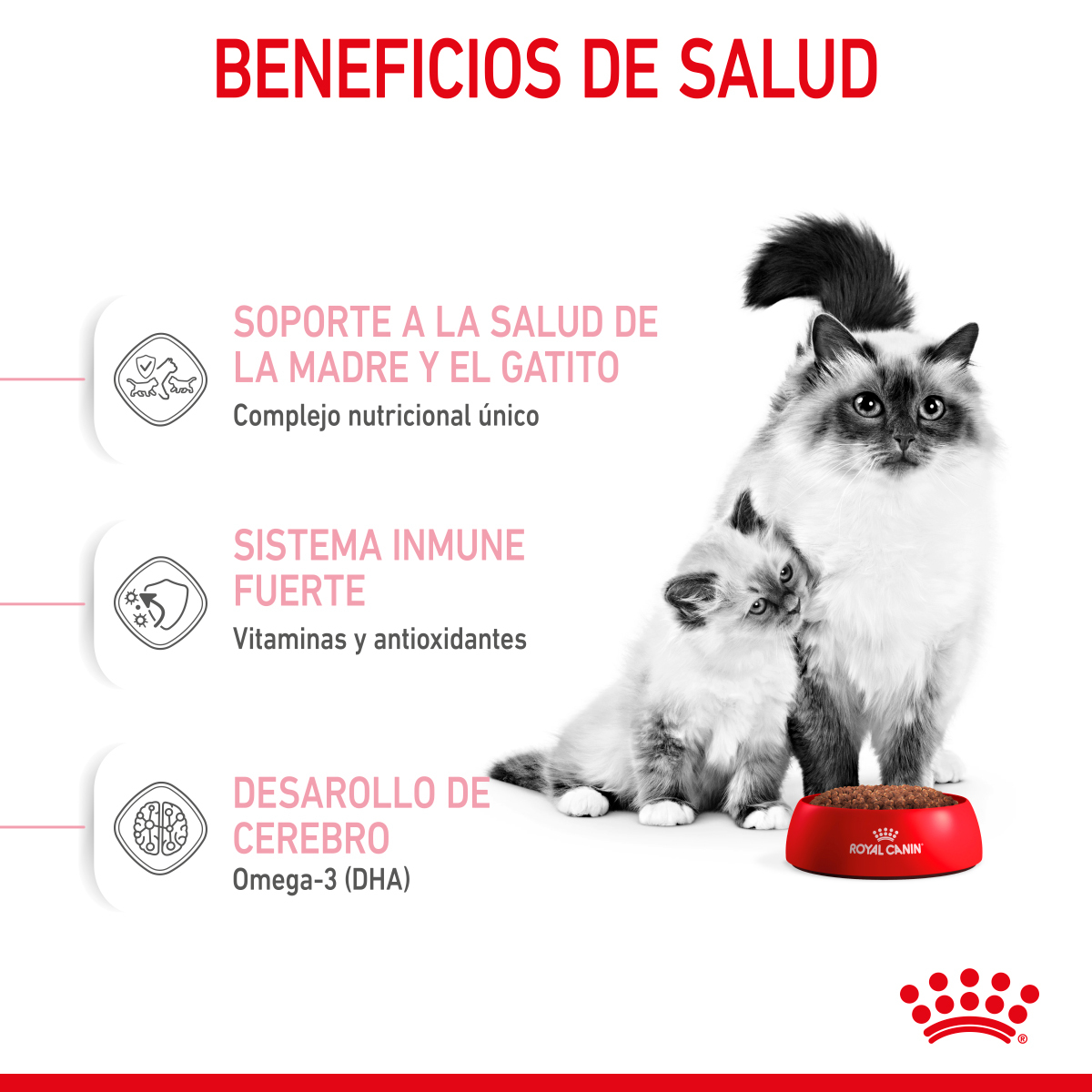 Royal Canin Mother & Babycat 1.37 Kg