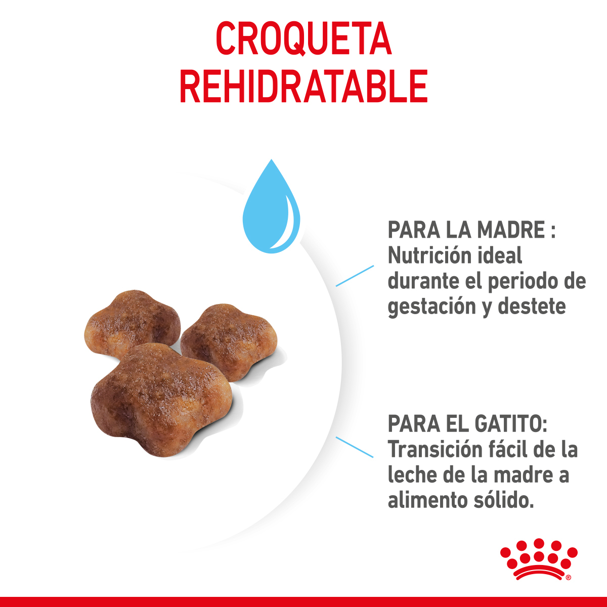 Royal Canin Mother & Babycat 1.37 Kg