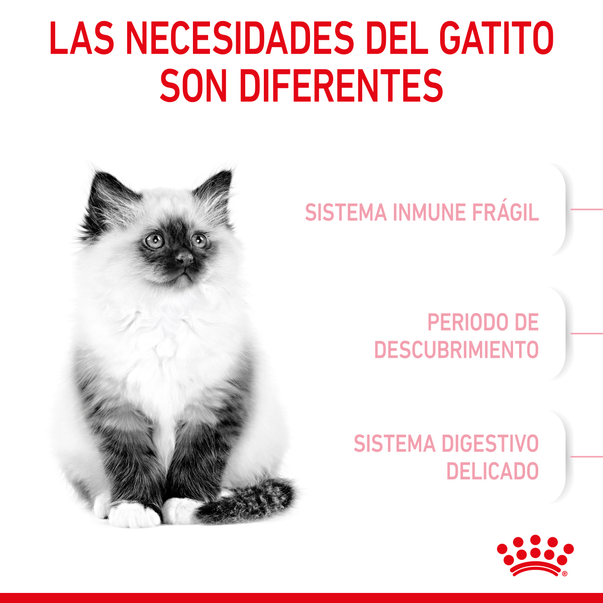 Royal Canin Kitten 1.37 Kg