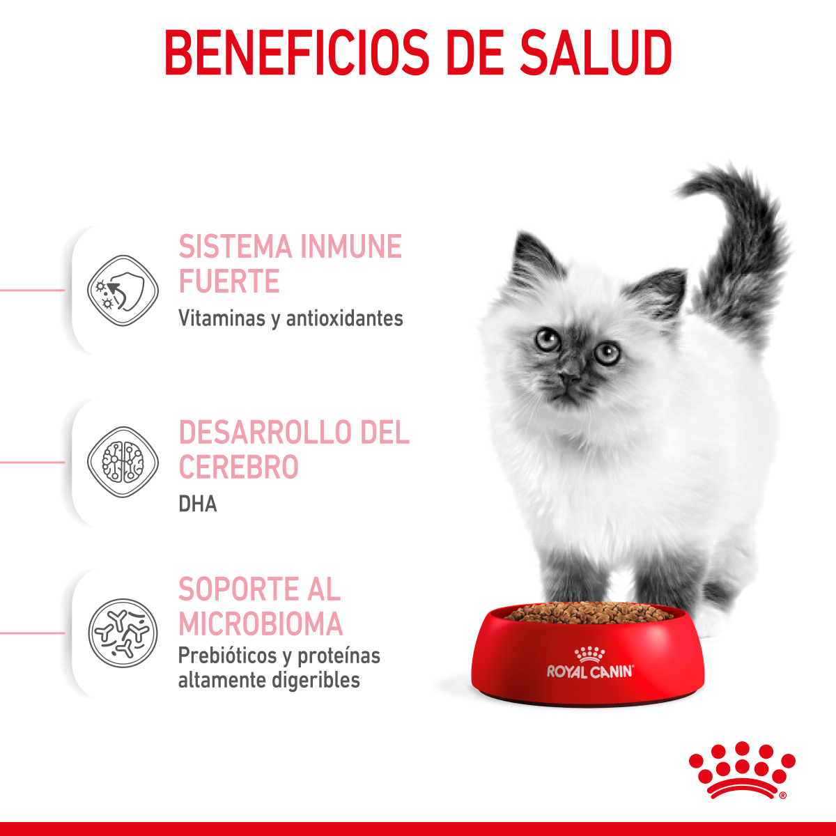 Royal Canin Kitten 1.37 Kg