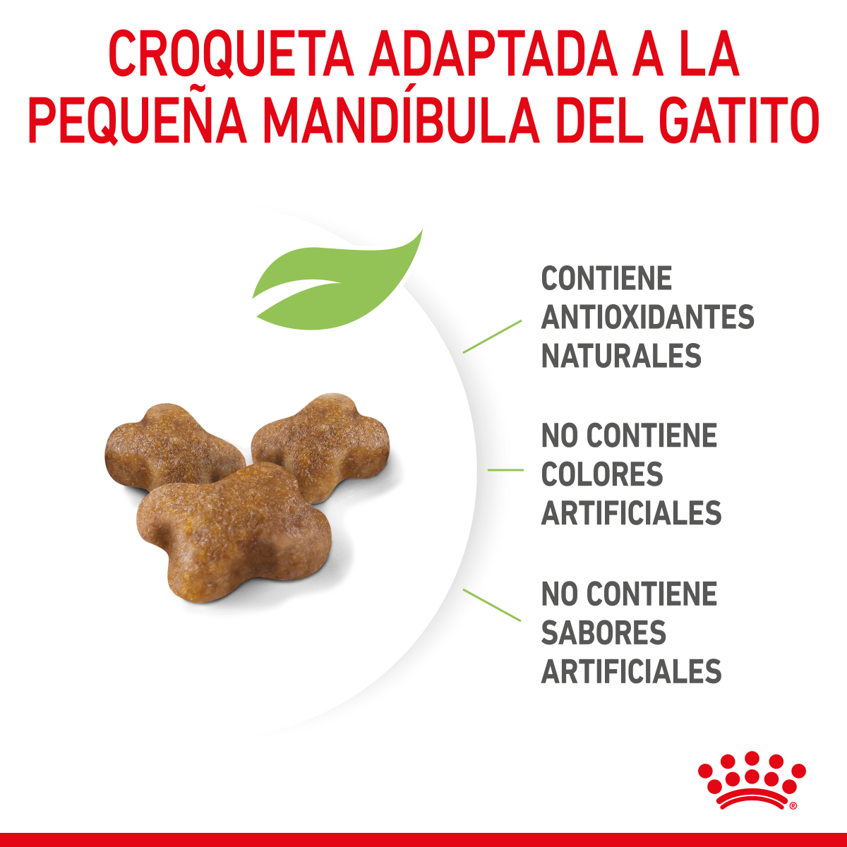 Royal Canin Kitten 1.37 Kg