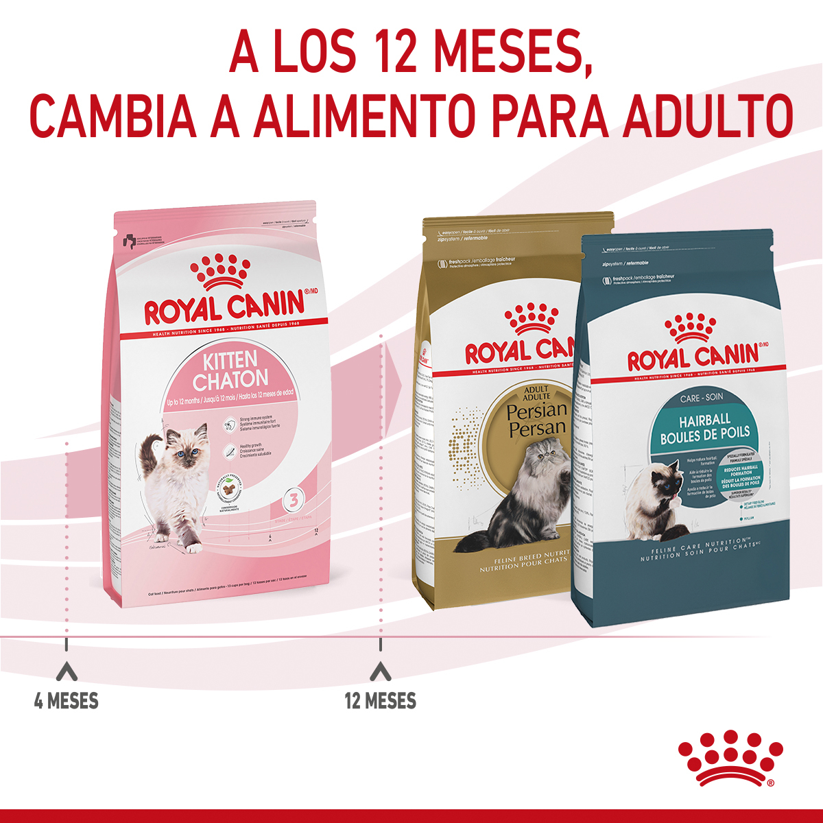 Royal Canin Kitten 1.37 Kg