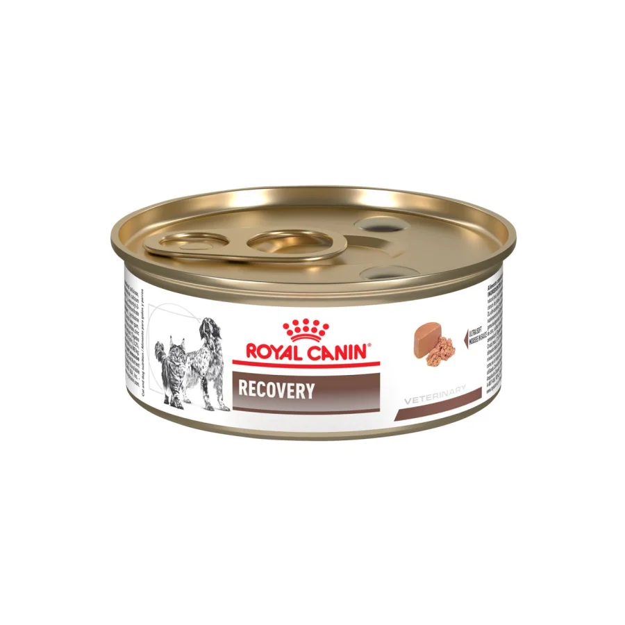 Royal Canin Recovery Canine/Feline Lata 150 Gr