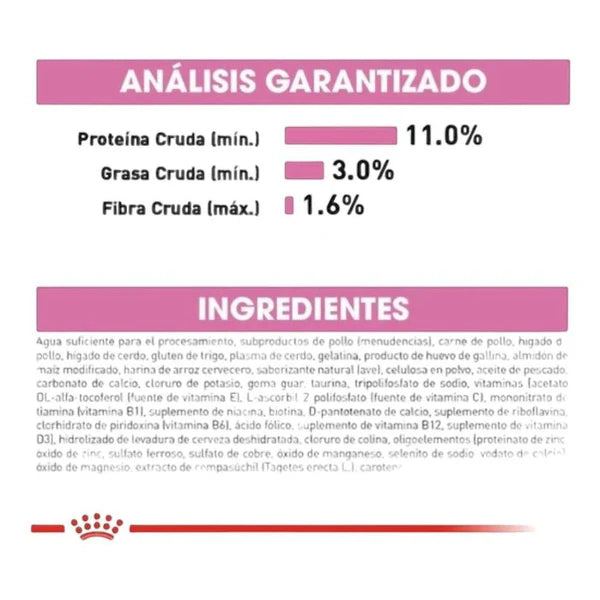 Royal Canin Kitten Loaf in Sauce Sabor Pollo | Alimento Húmedo para Gatitos – Crecimiento Saludable