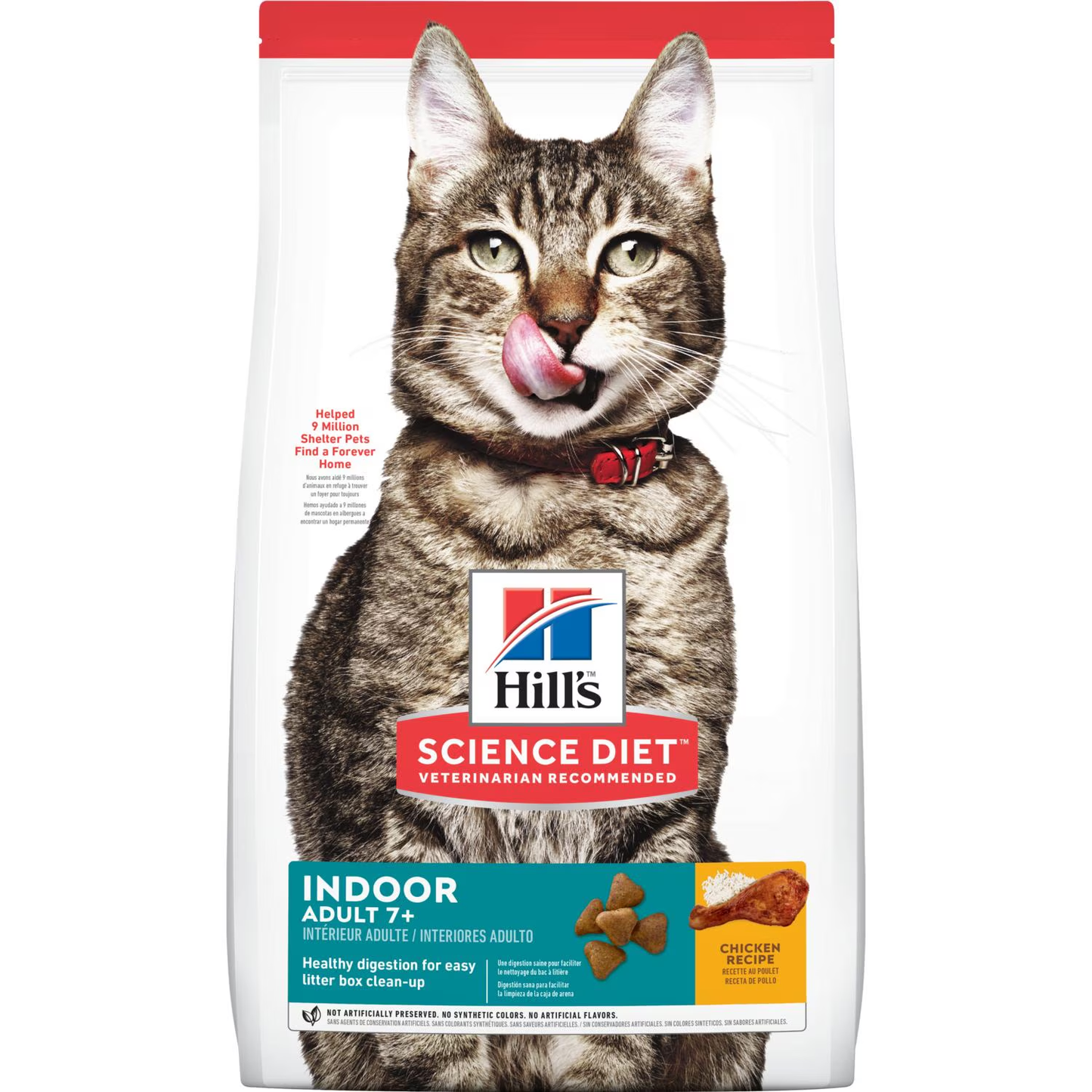 Hill’s Gato Mayor Indoor 7+ – Tranquilidad, Cuidado y Amor Para Tu Michi de Casa 🏠🐾