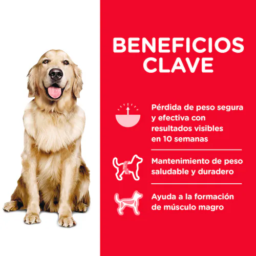 Hill’s Perfect Weight Adulto – Sabor Pollo para un Peso Saludable