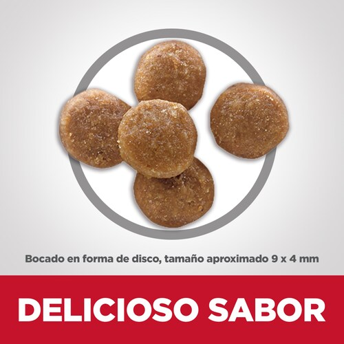 Hill’s Gato Perfect Digestion – Adiós Barriguitas Infladas, Hola Michi Feliz 🌾🐱