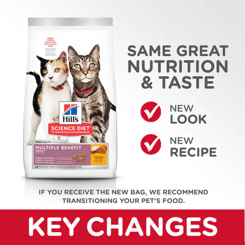 Hill’s Multiple Benefit – El alimento 5 en 1 que todo gato adulto merece 🐾