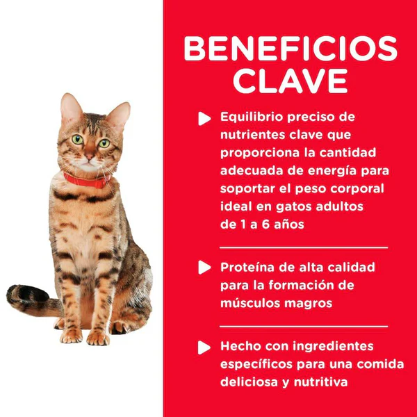 Hill’s Science Diet Healthy Cuisine – Alimento Húmedo para Gato Adulto (Caja con 24 Latas de 79 g)
