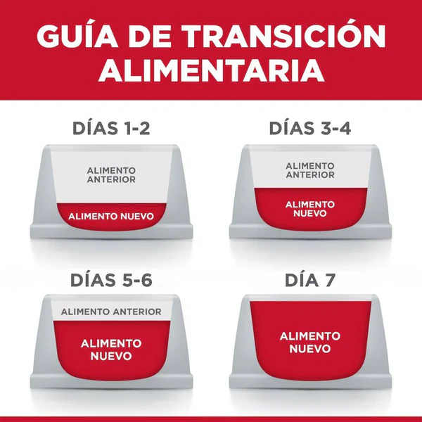 Hill's Science Diet Adult – Alimento Húmedo en Pouch para Gato Adulto (24 Sobres de 79 g, Platillo de Pollo)