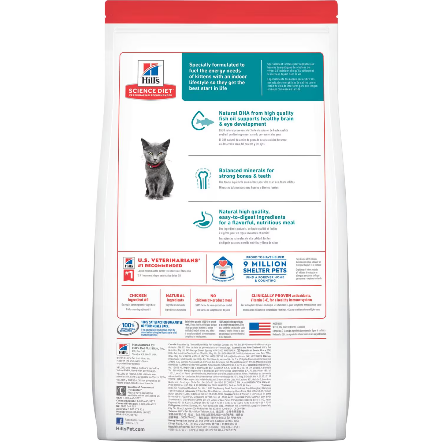 Hill's Kitten Indoor – Nutrición Ideal para Gatitos Felices en Casa 🏡🐱