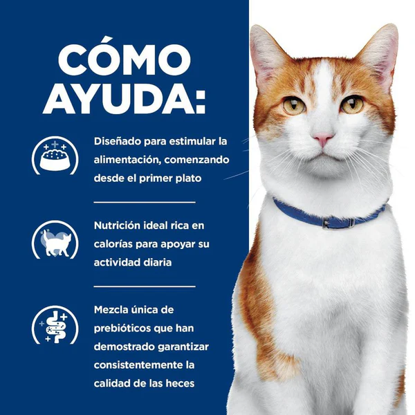 Hill’s Prescription Diet ONC Care para Gato – Alimento Húmedo en Latas 82g (Caja con 24)