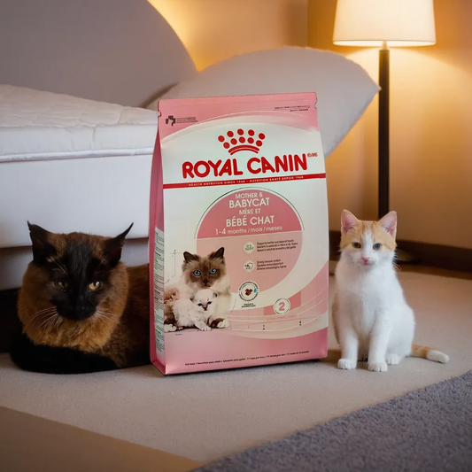 Royal Canin Mother & Babycat 1.37 Kg