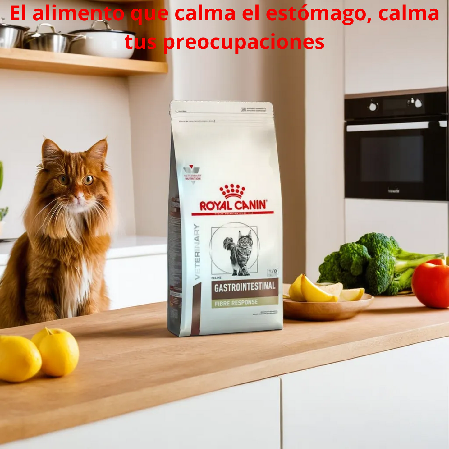 Royal Canin Gastrointestinal Fiber Response 4 Kg