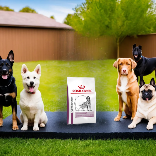 Royal Canin Early Cardiac 3.5 Kg