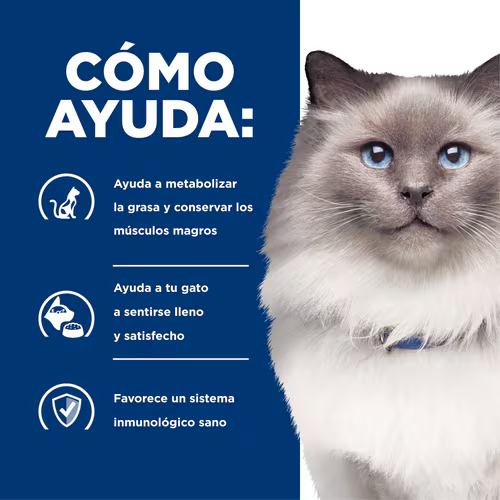 Recupérale la Energía y Salud a tu Gato con Hill’s r/d Control de Peso