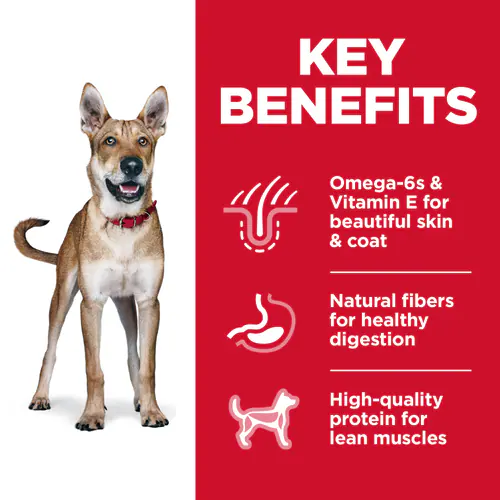 Hill’s Science Diet Adult – Pollo y Cebada | Nutrición Equilibrada para Perros de 1 a 6 Años