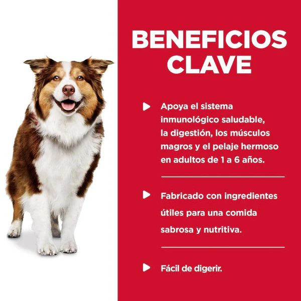 🍽️ Hill's Healthy Cuisine Estofado (Caja con 12 unidades) – Sabor casero con pollo, zanahorias y espinacas que tu perro amará 💚🐶