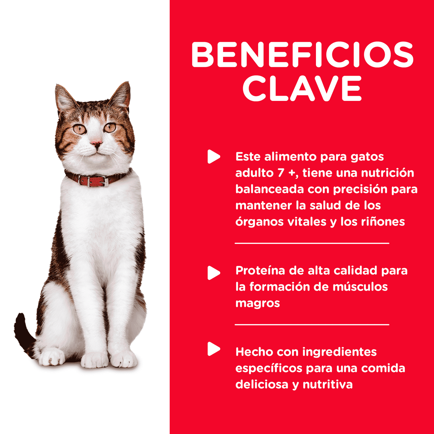 Hill’s Science Diet Adult 7+ Original Pavo – Alimento Húmedo en Lata para Gato Mayor (24 unidades x 82 g)
