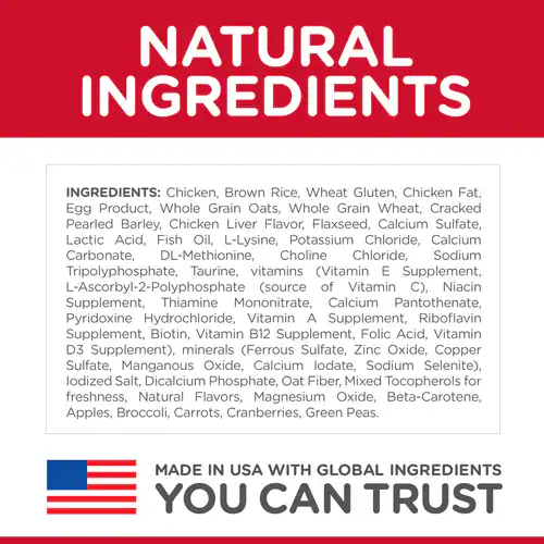Hill's Kitten Pollo – Nutrición Inteligente para un Comienzo Saludable