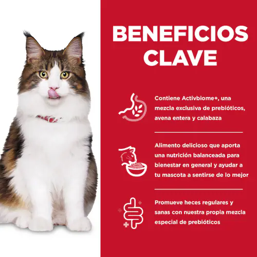 Hill’s Gato Perfect Digestion – Adiós Barriguitas Infladas, Hola Michi Feliz 🌾🐱