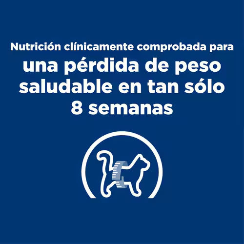 Recupérale la Energía y Salud a tu Gato con Hill’s r/d Control de Peso