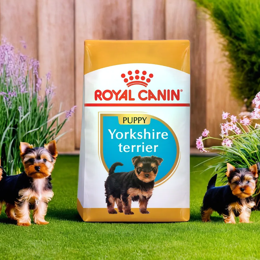 Royal Canin BHN Yorkshire Terrier Puppy 1.14 Kg