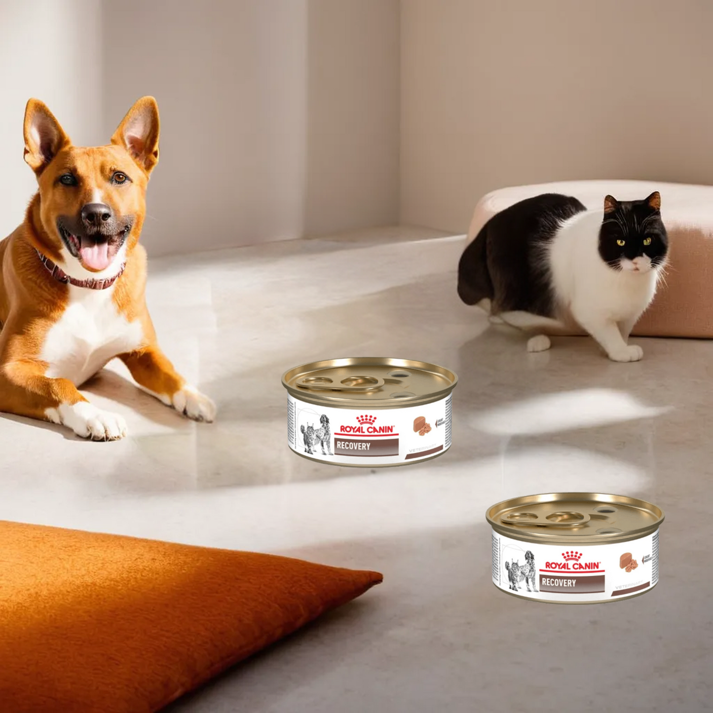 Royal Canin Recovery Canine/Feline Lata 150 Gr
