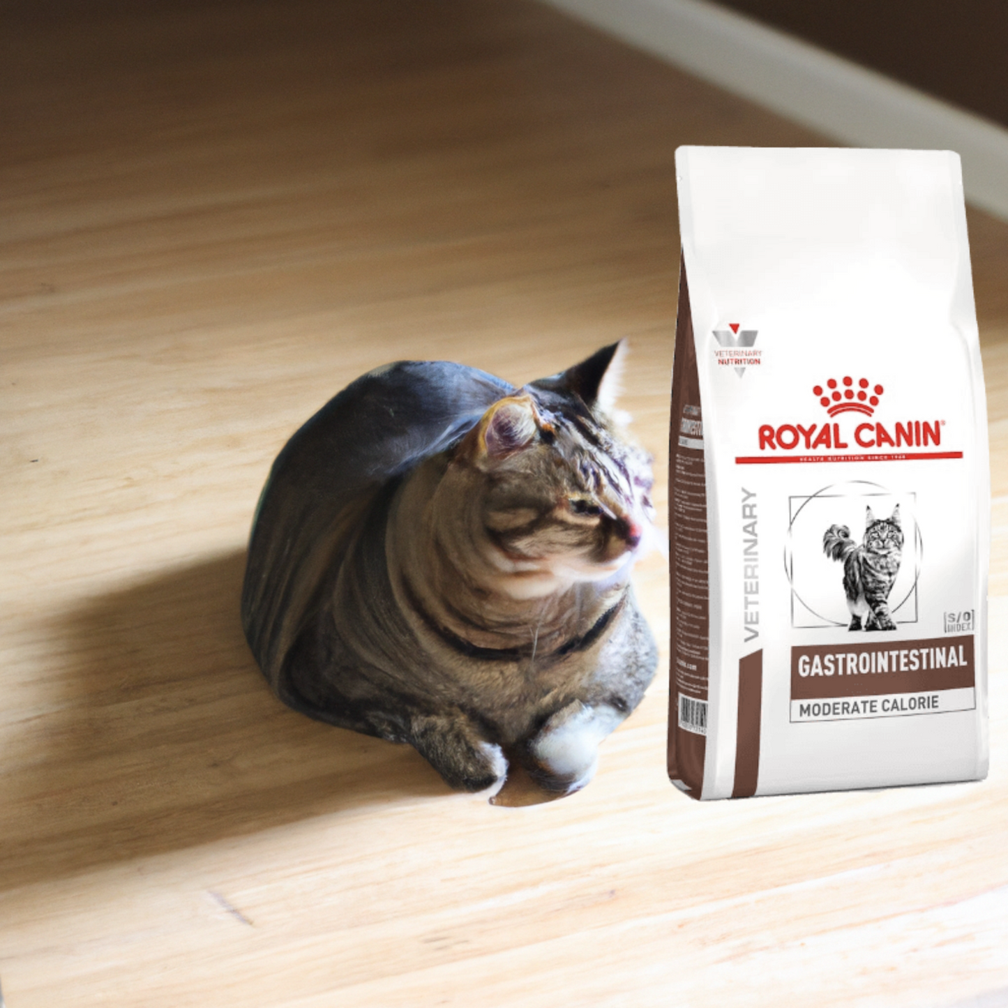 Royal Canin Gastrointestinal Moderate Calorie Feline 3.5 Kg