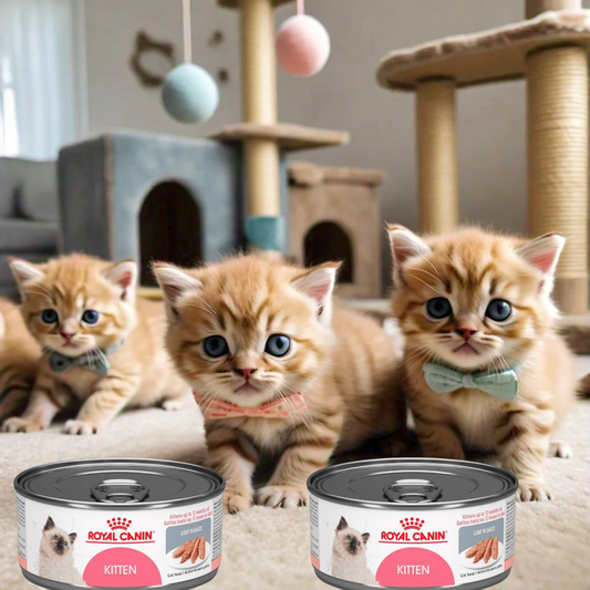 Royal Canin FHN Kitten Instinctive Lata 85 Gr