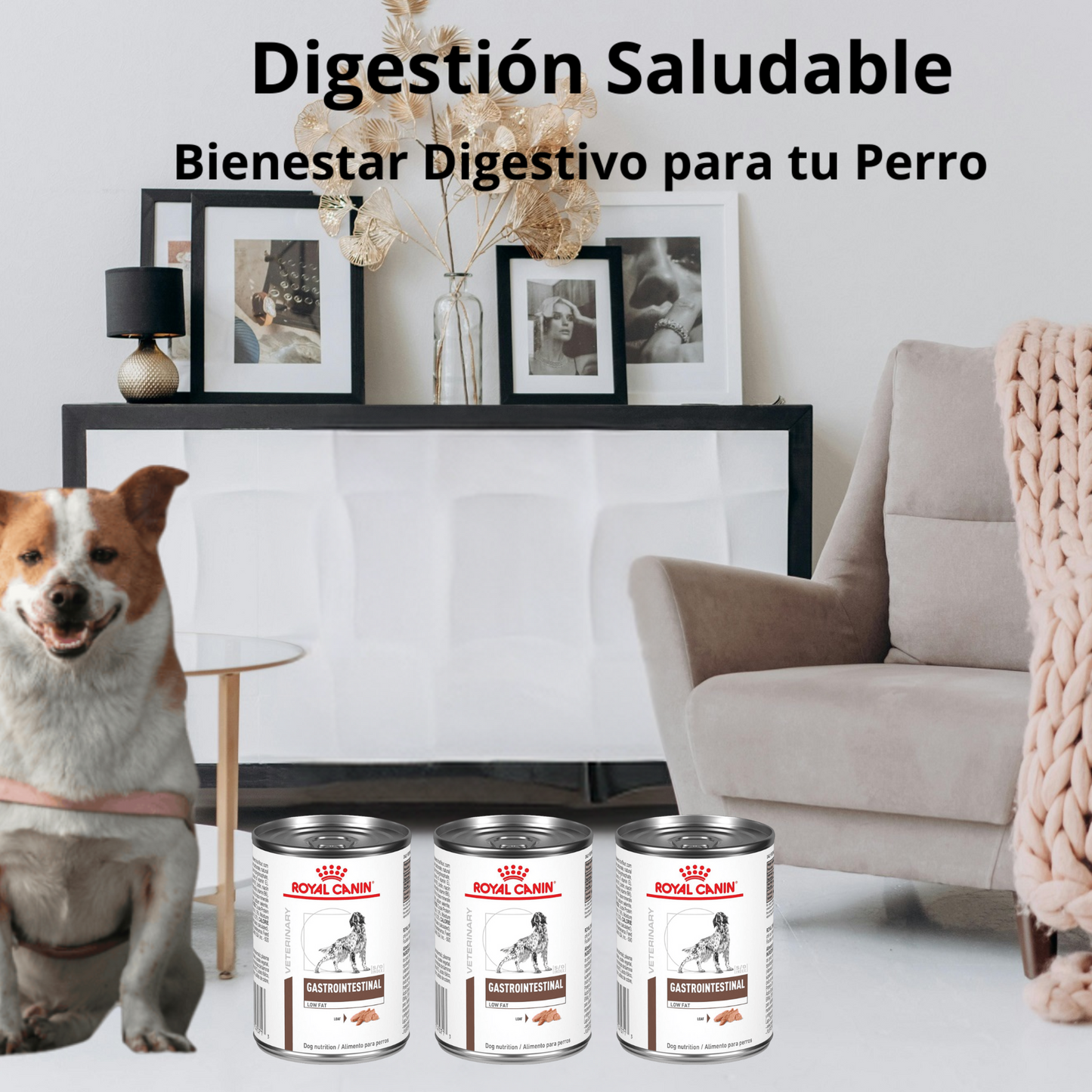 Royal Canin Gastrointestinal Low Fat Canine Lata 385 Gr