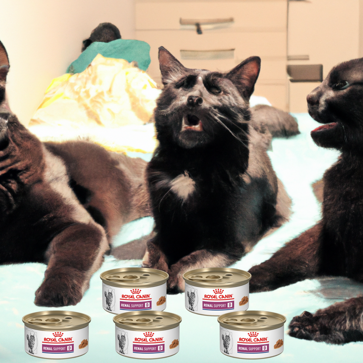 Royal Canin Renal Support D Morsels In Gravy Feline Lata 85 Gr