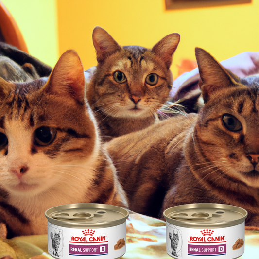 Royal Canin Renal Support D Morsels In Gravy Feline Lata 85 Gr