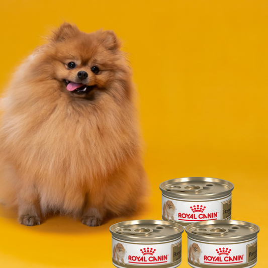 Royal Canin BHN Pomeranian Lata 85 Gr
