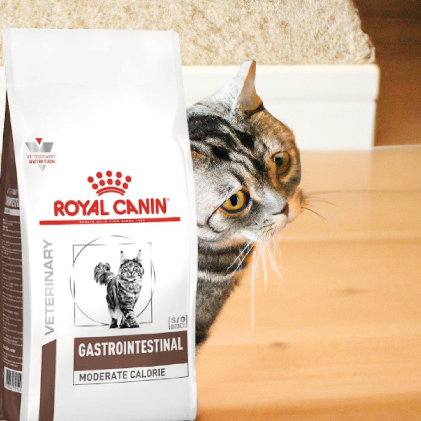 Royal Canin Gastrointestinal Moderate Calorie Feline 3.5 Kg