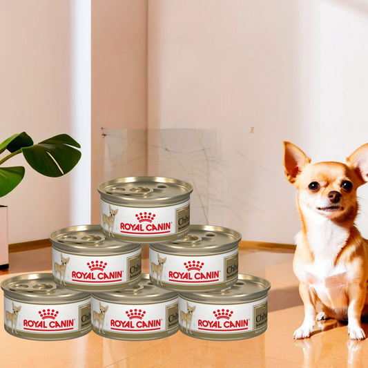 Royal Canin BHN Chihuahua Lata 85 Gr