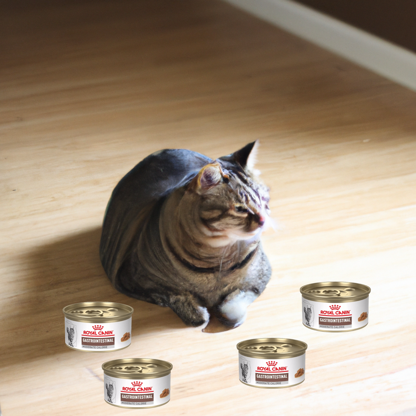 Royal Canin Gastrointestinal Moderate Calorie Feline Lata 85 Gr