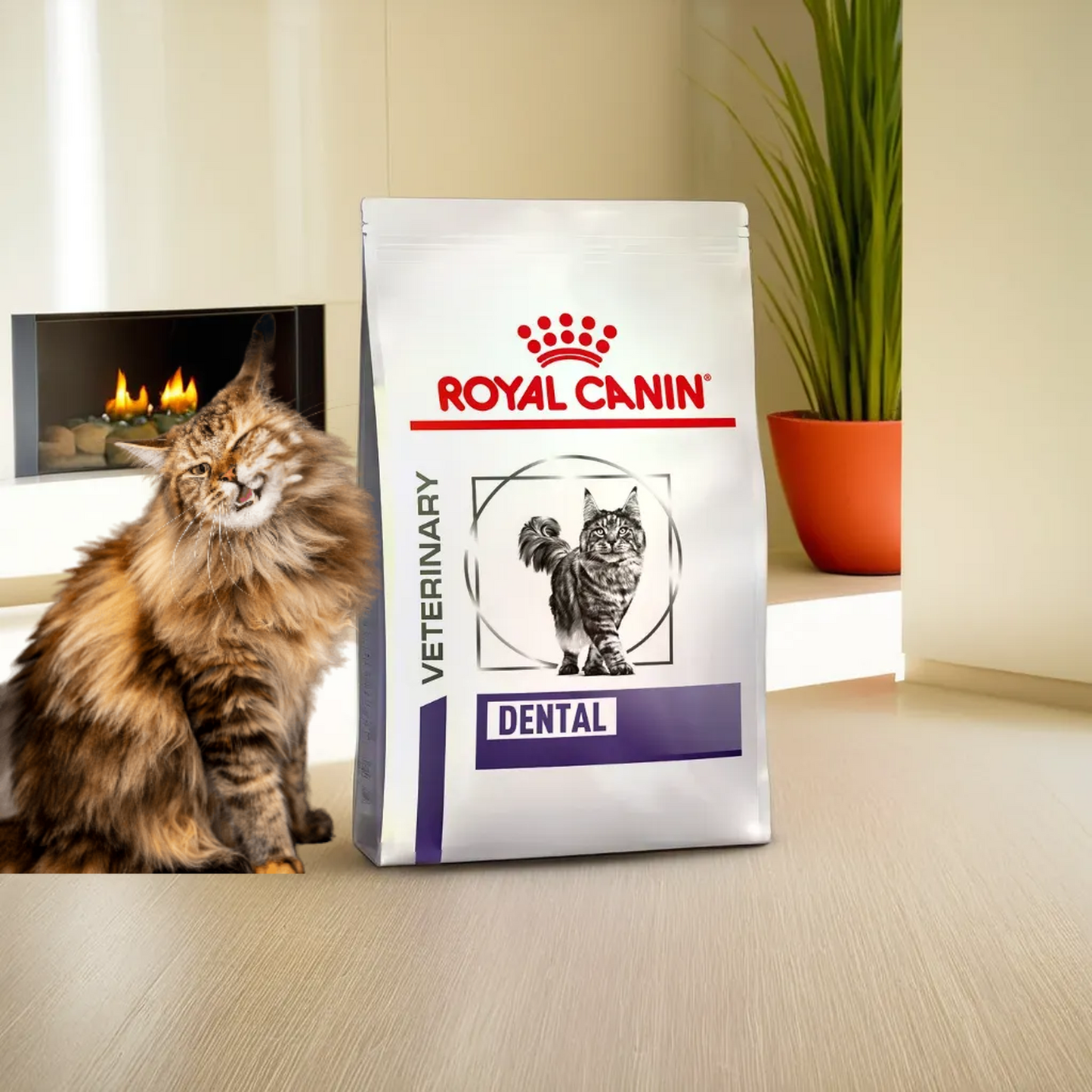Royal Canin Dental Dry Feline 3.5 Kg