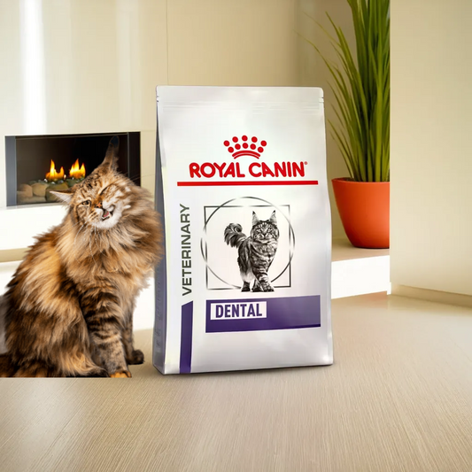 Royal Canin Dental Dry Feline 8 Kg