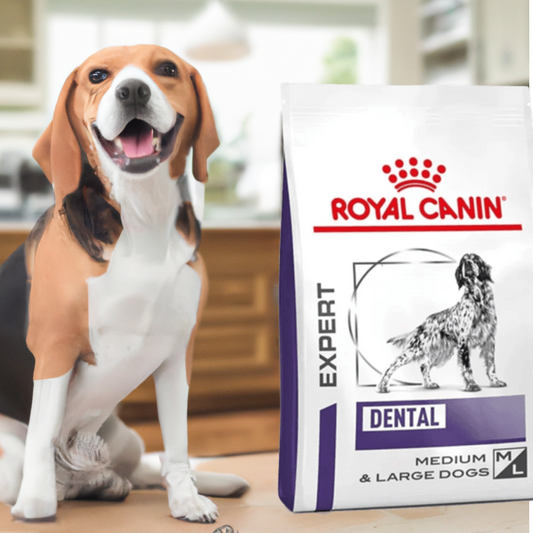Royal Canin Dental Dry Dog 8 Kg