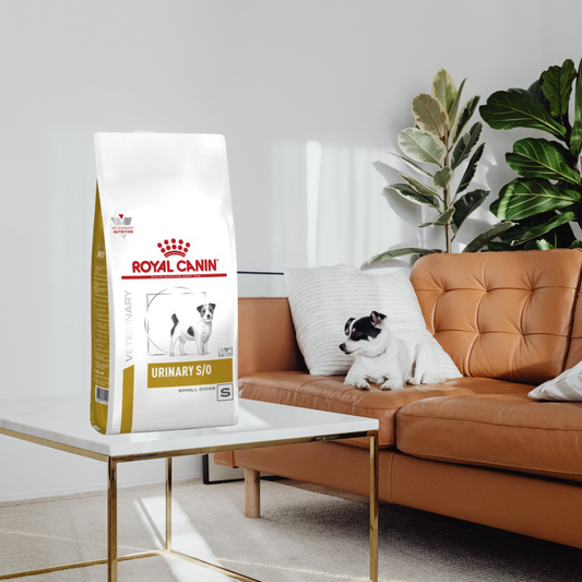 Royal Canin Urinary Small Dog 4 Kg
