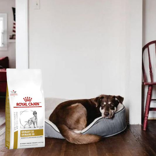 Royal Canin Urinary SO Moderate Calorie 3.5Kg