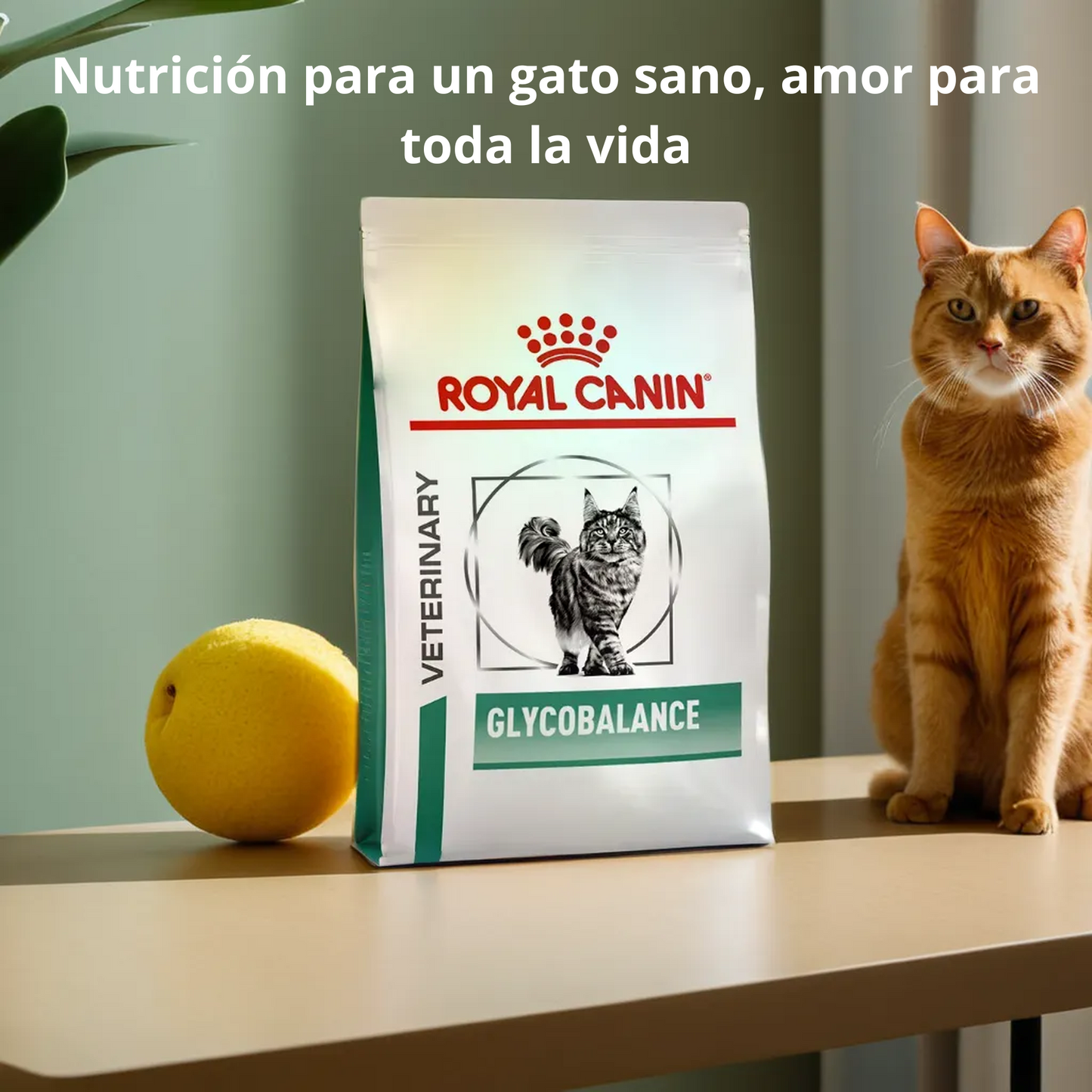 Royal Canin Glycobalance Feline 2 Kg