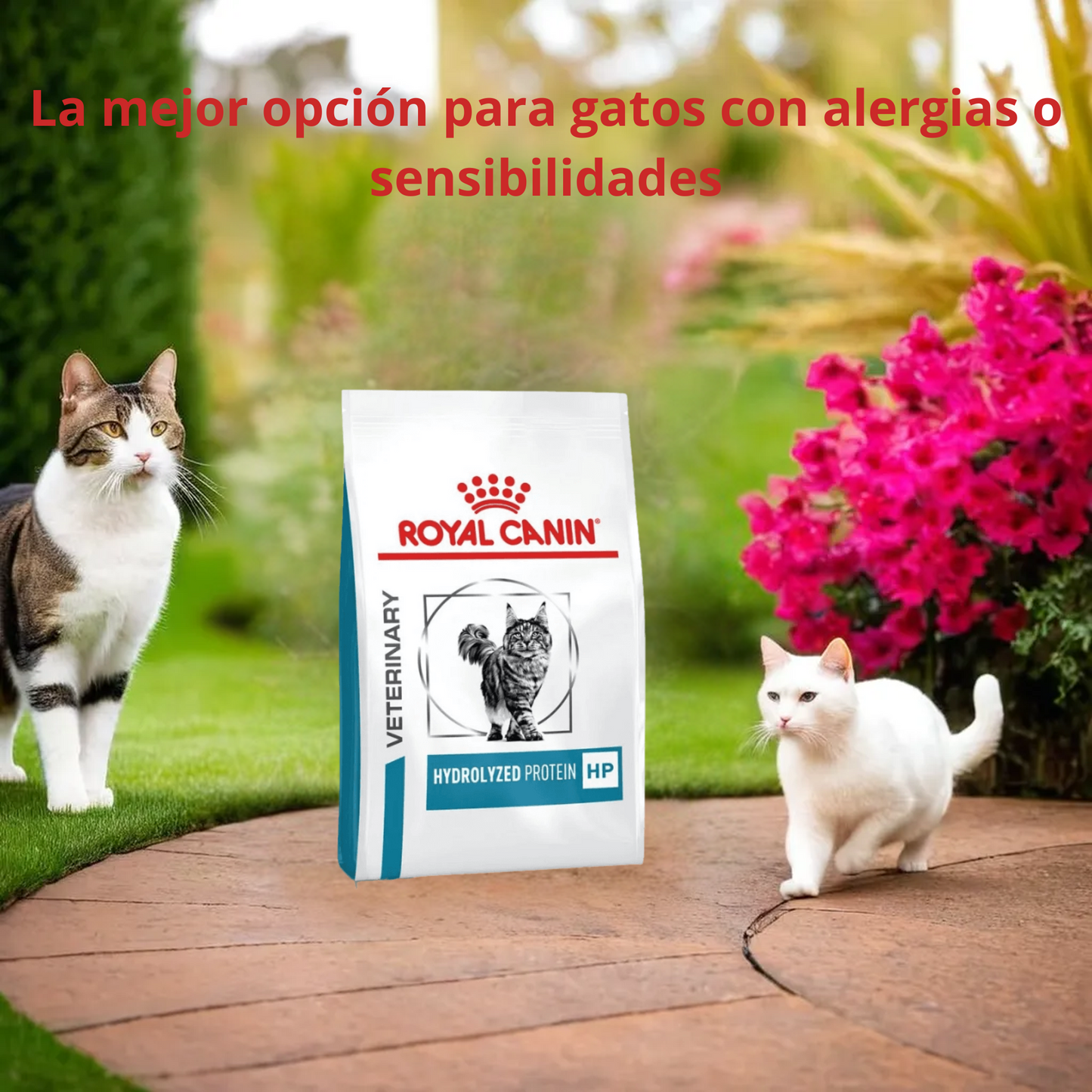 Royal Canin Hydrolyzed Protein Adult Feline 3.5 Kg