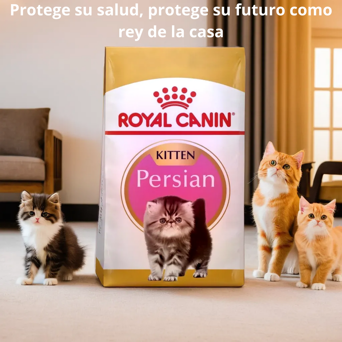 Royal Canin Persian Kitten 1.36 Kg