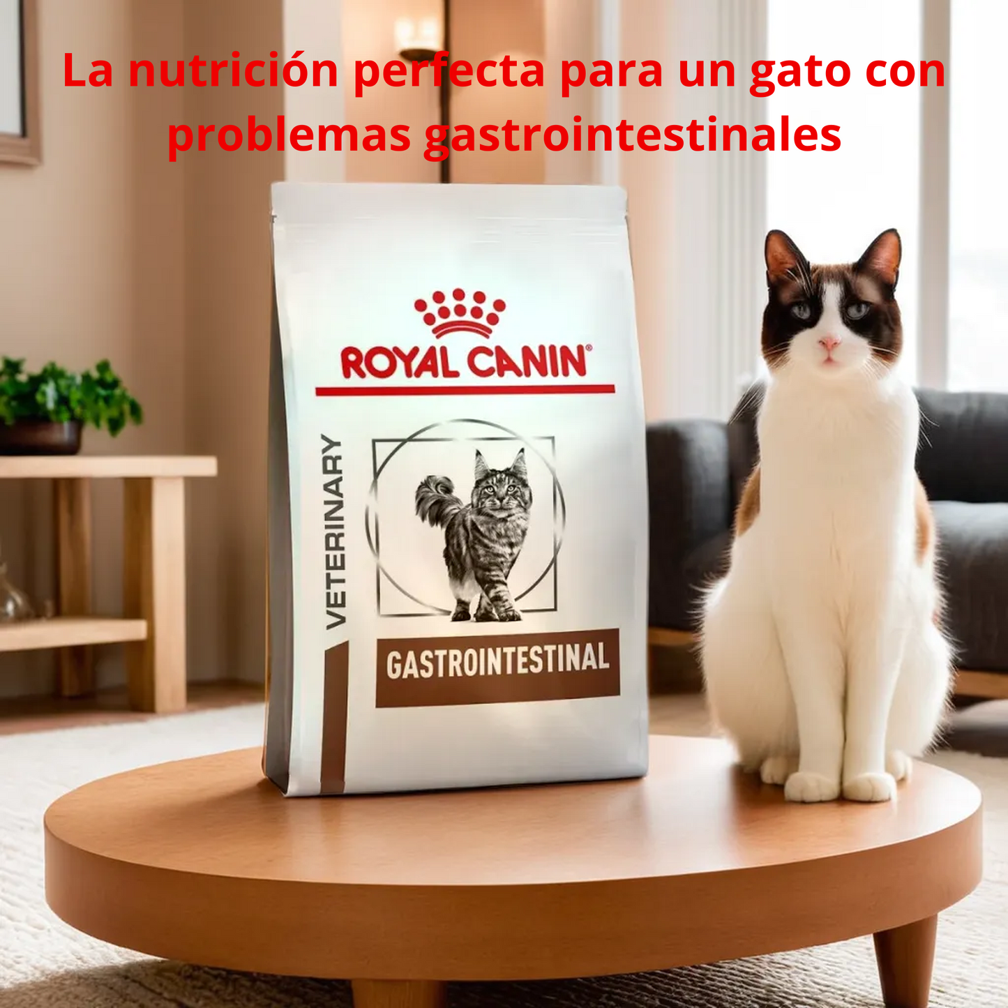 Royal Canin Gastrointestinal Feline 4 Kg