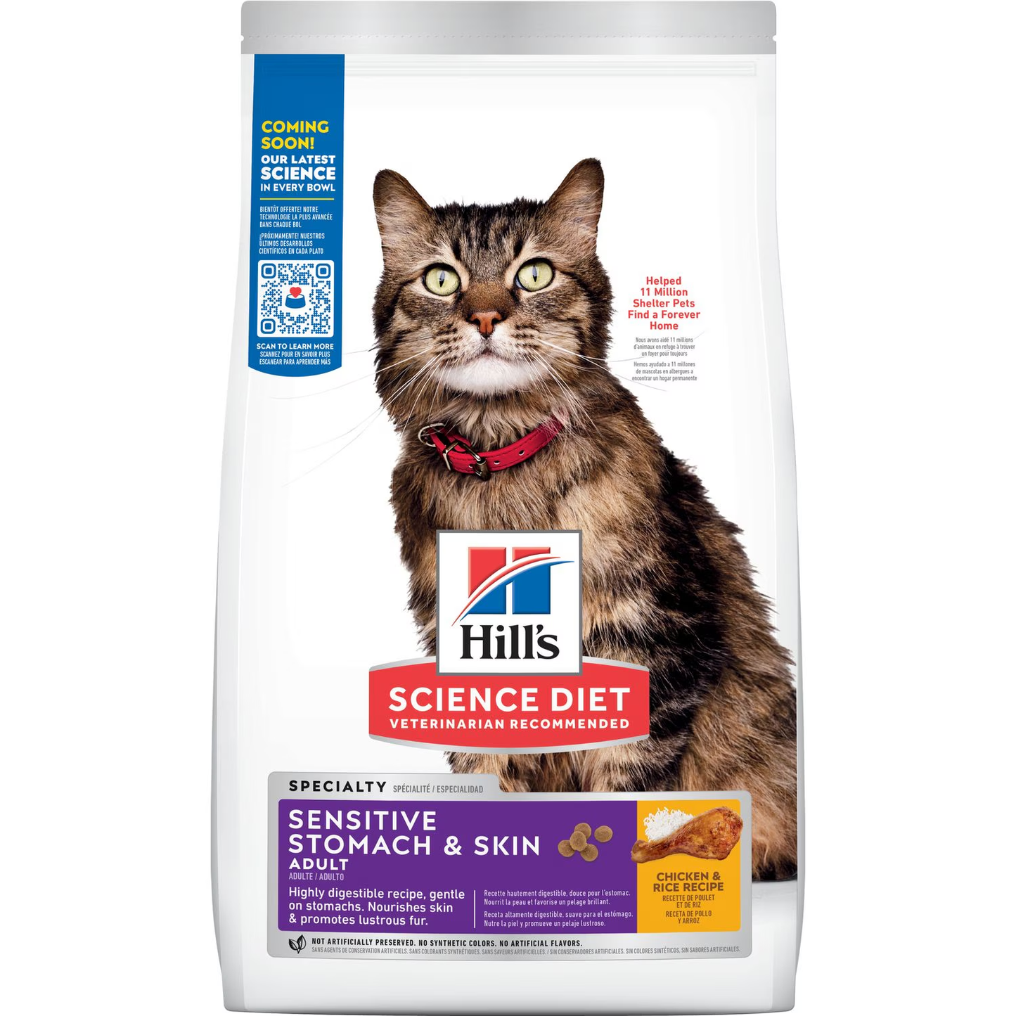 Delicado por dentro y por fuera: Hill’s Sensitive Skin & Stomach – El alimento que cuida a tu gato como tú lo harías 🐱💕