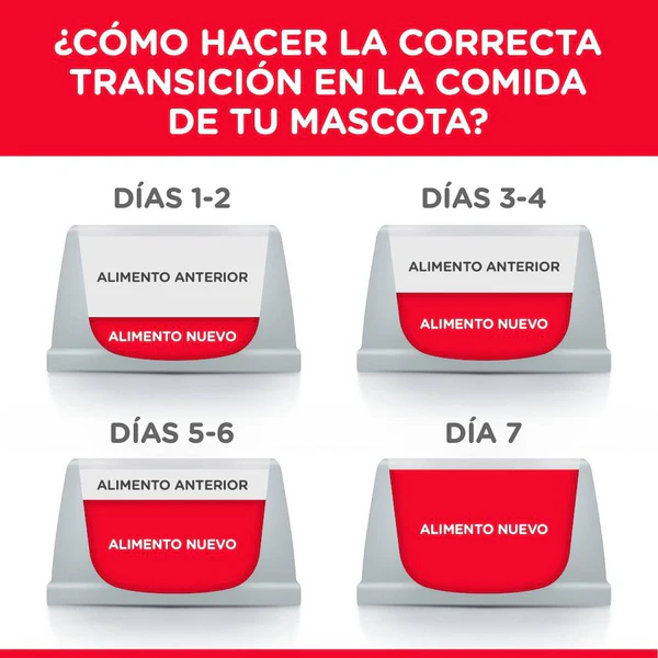 Hill’s Science Diet Healthy Cuisine – Alimento Húmedo para Gato Adulto (Caja con 24 Latas de 79 g)