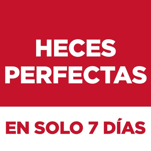 Hill’s Gato Perfect Digestion – Adiós Barriguitas Infladas, Hola Michi Feliz 🌾🐱