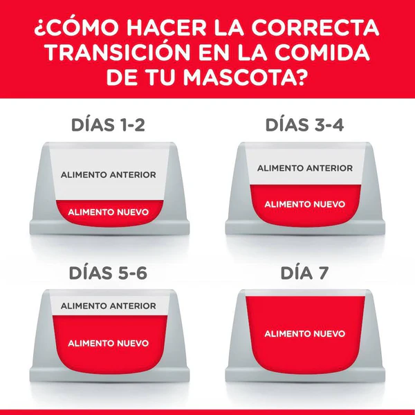 Hill’s Science Diet Gatito Healthy Cuisine – Alimento Húmedo Natural (24 Latas de 79 g)